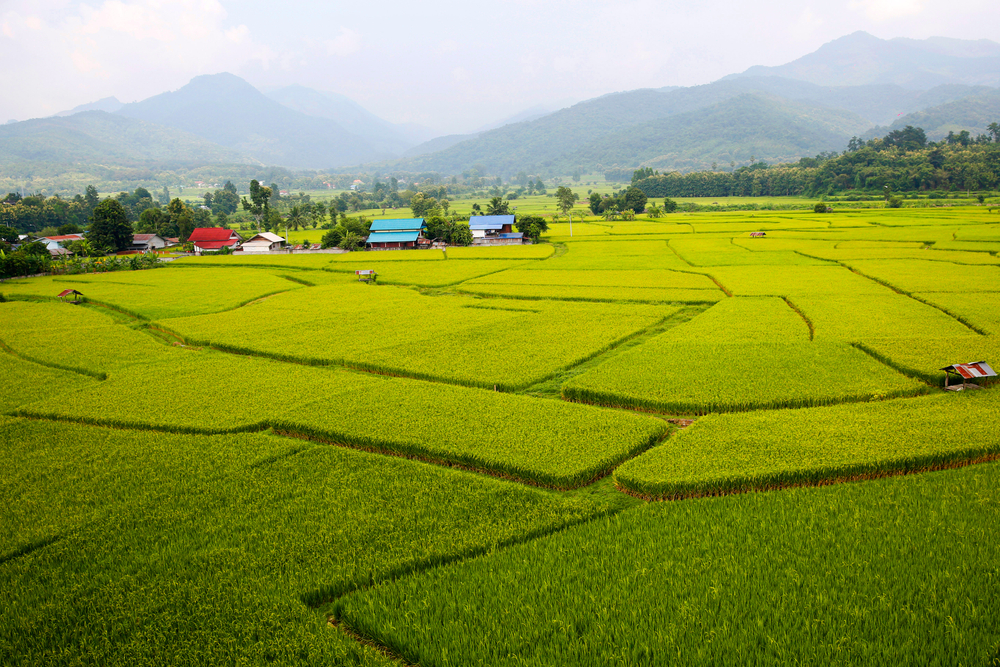 ที่เที่ยวน่านหน้าฝน