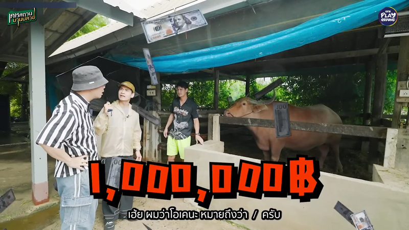 น้ำ รพีภัทร พาเปิดบ้าน พร้อมอาณาจักรฟาร์ม