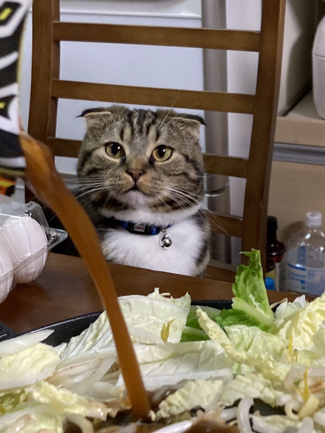 นั่งกินข้าว