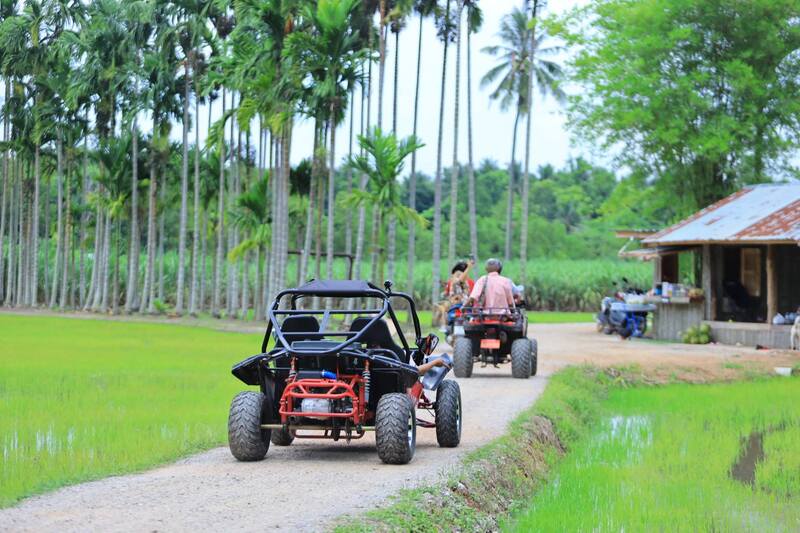 ทิวหมาก บ้านผาเบียด ชัยภูมิ