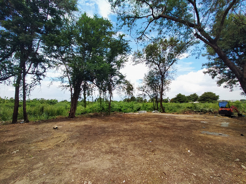 โรงเรือนทำเอง