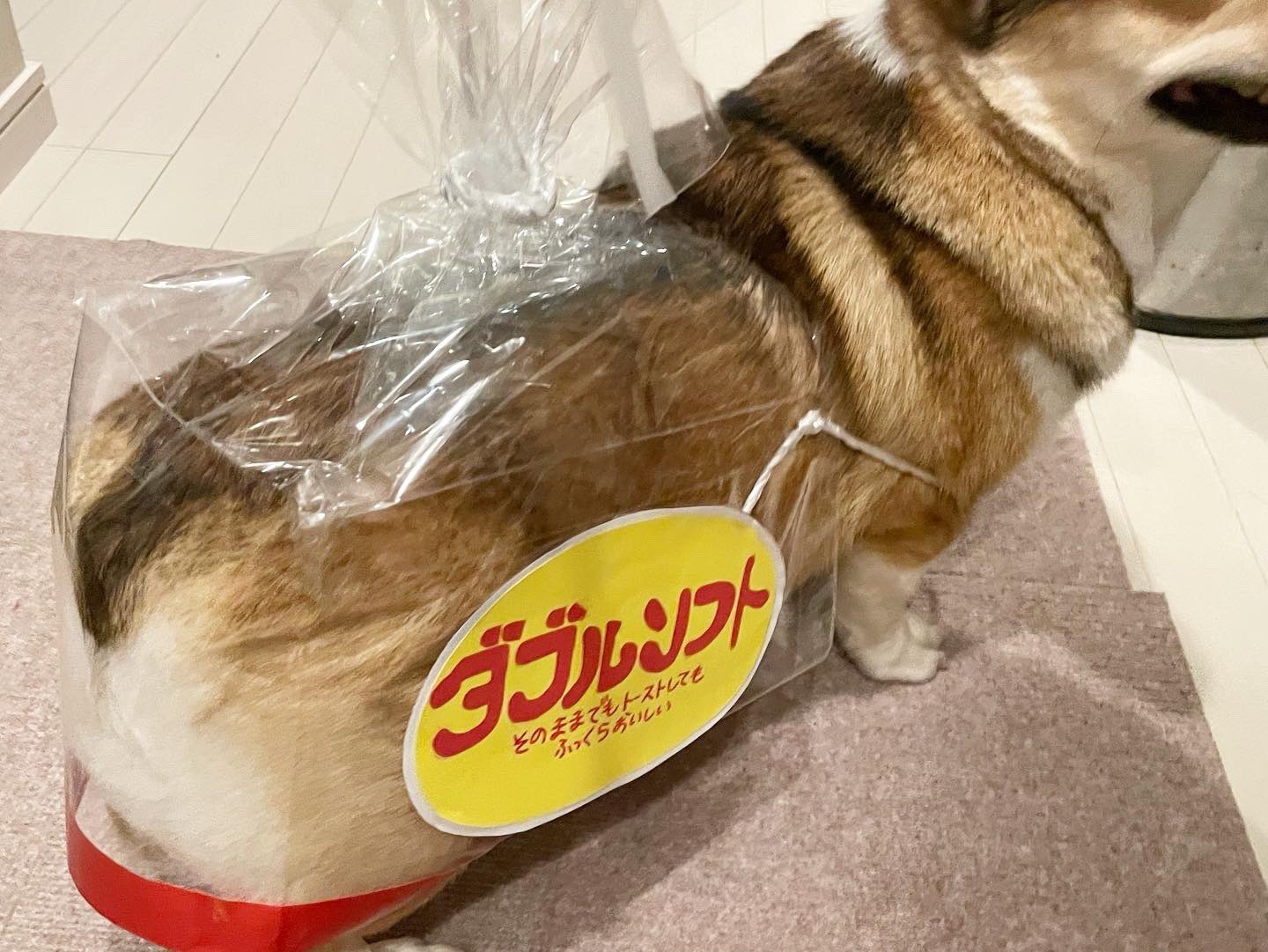 ขนมปัง