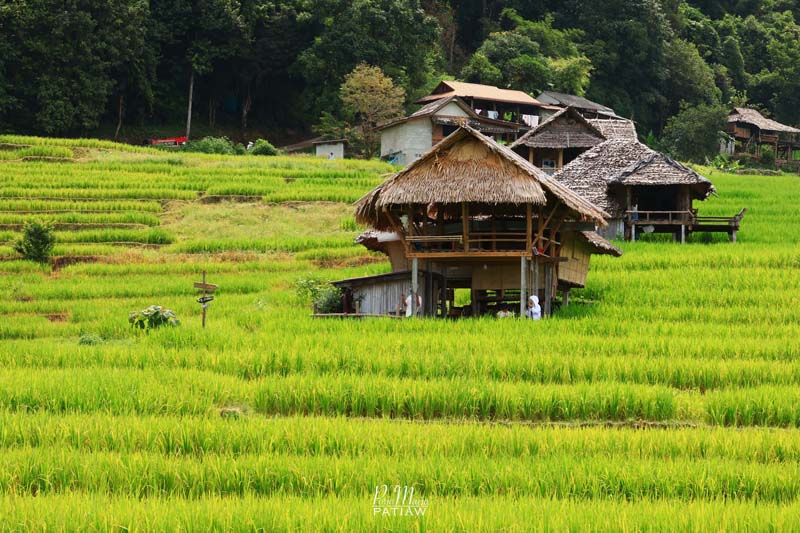 บ้านป่าบงเปียง จ.เชียงใหม่