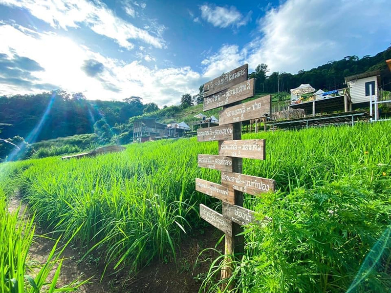 ที่พักเชียงใหม่