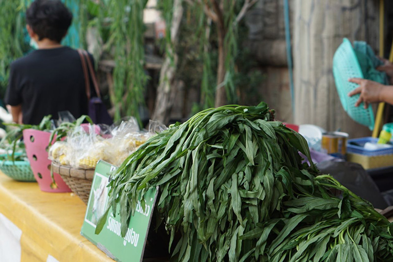 สวนสัตว์พาต้า