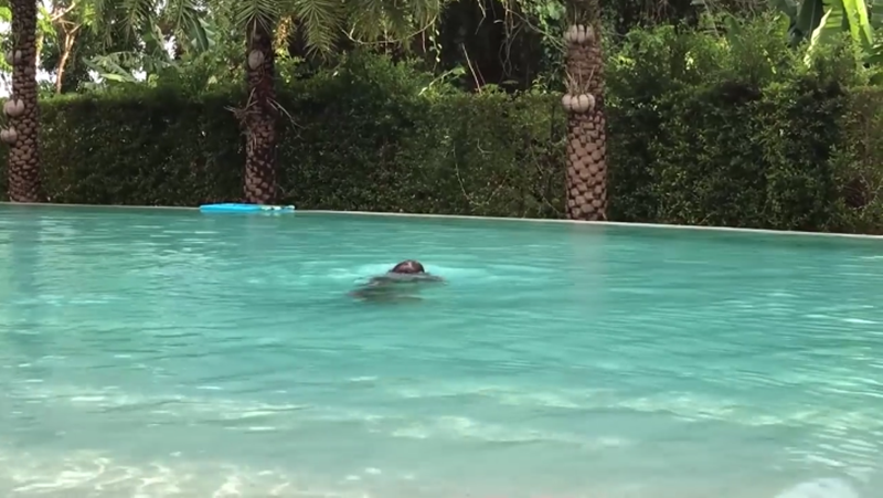 ซาร่า แม็กซ์เวลล์