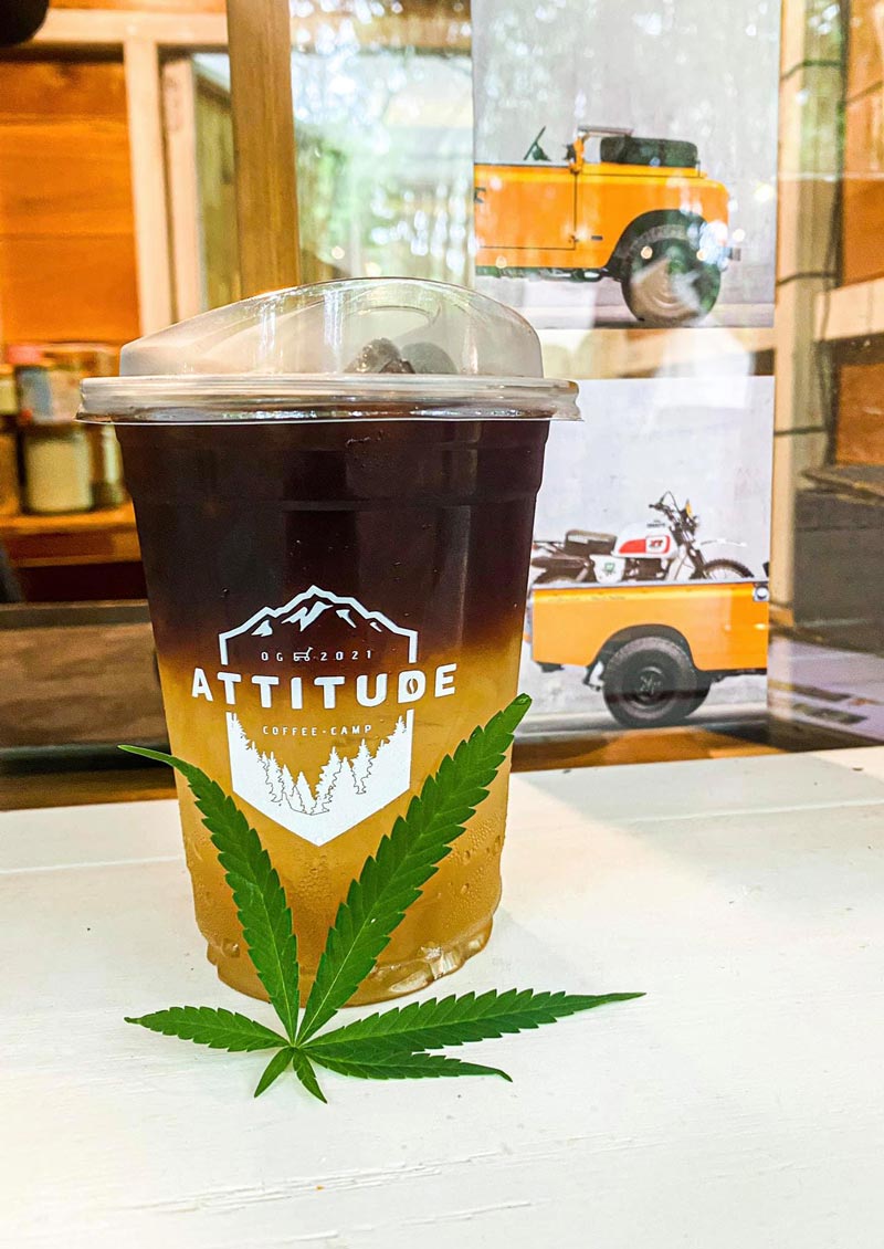 คาเฟ่ในสวนยาง