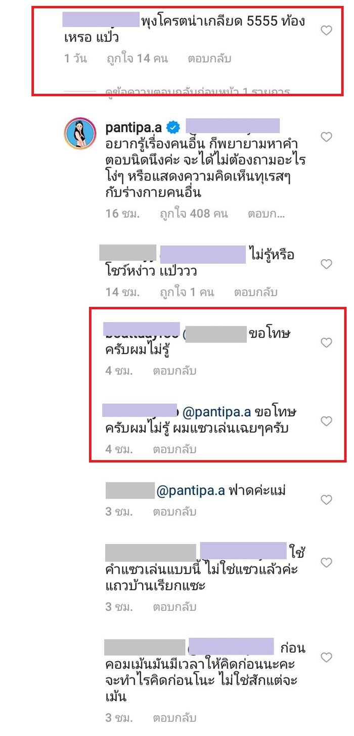 ปุ้มปุ้ย พรรณทิพา