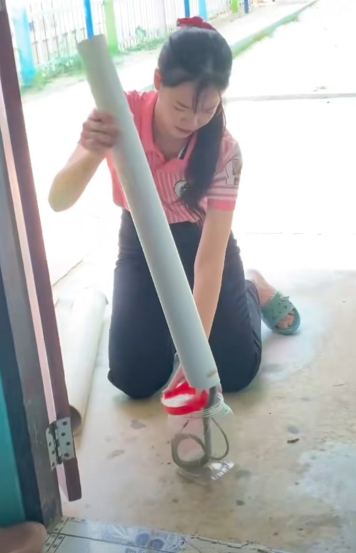 จับงูเขียว