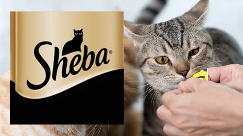 ขนมแมวเลีย Sheba