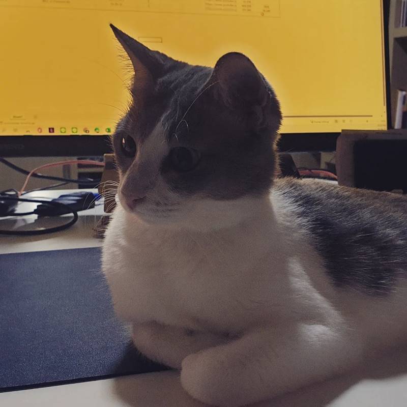 ชิน ชินวุฒ