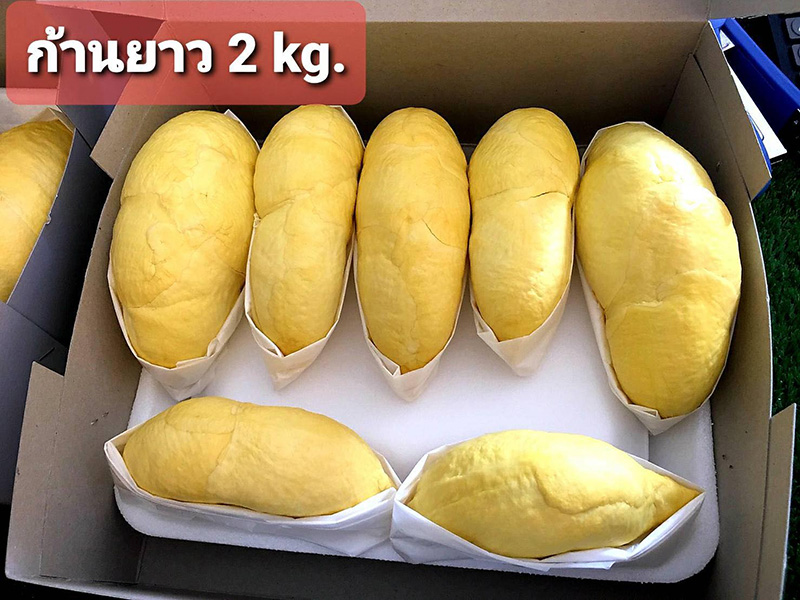 สั่งทุเรียนเดลิเวอรี่