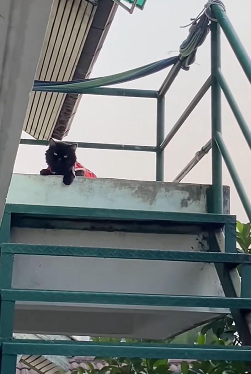 ห้องเช่า