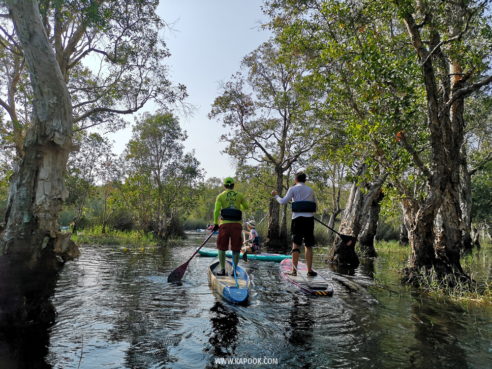 เที่ยวระยอง