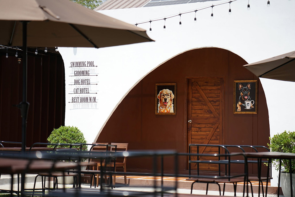 คาเฟ่ Pet-Friendly ย่านจตุโชติ