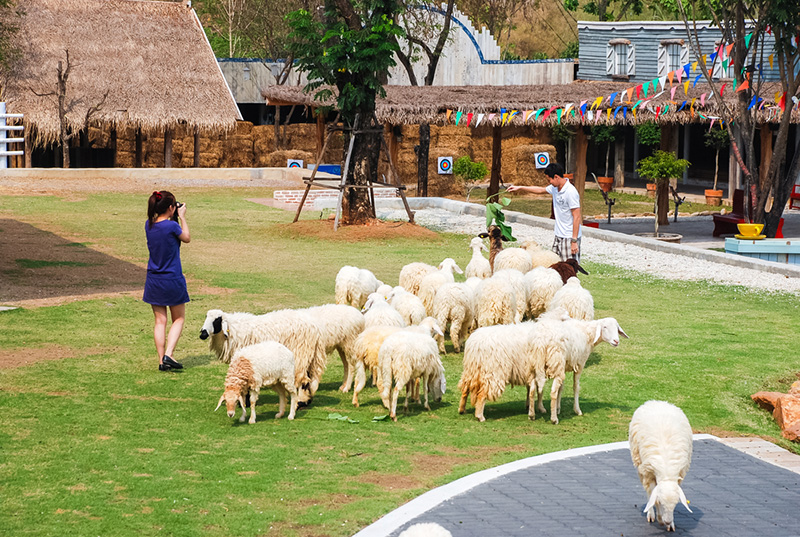 ที่เที่ยวปีใหม่