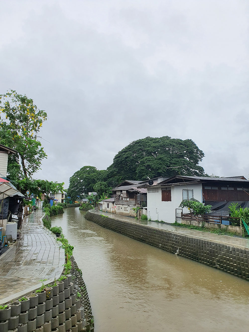 คลองแม่ข่า ที่เที่ยวเชียงใหม่