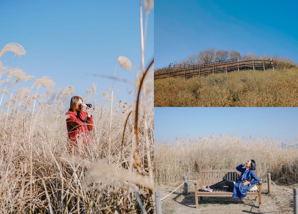 เที่ยวเกาหลี