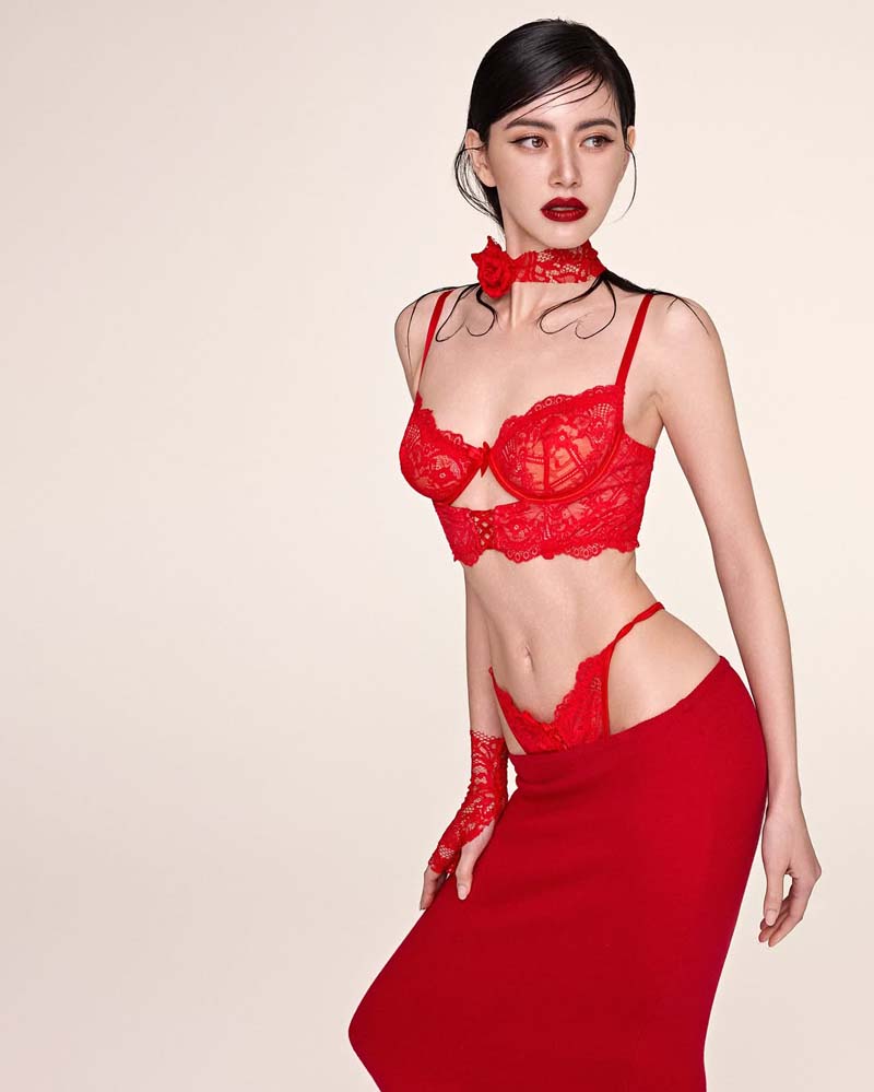 ใหม่ ดาวิกา