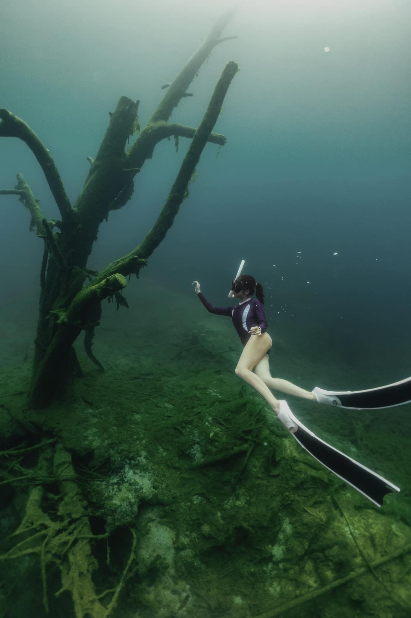 นักดำน้ำ