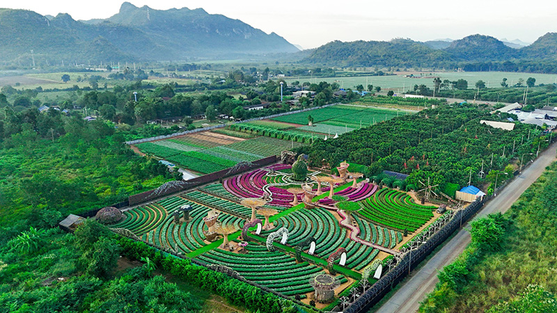 สวนเมเปิ้ล กาญจนบุรี 2568