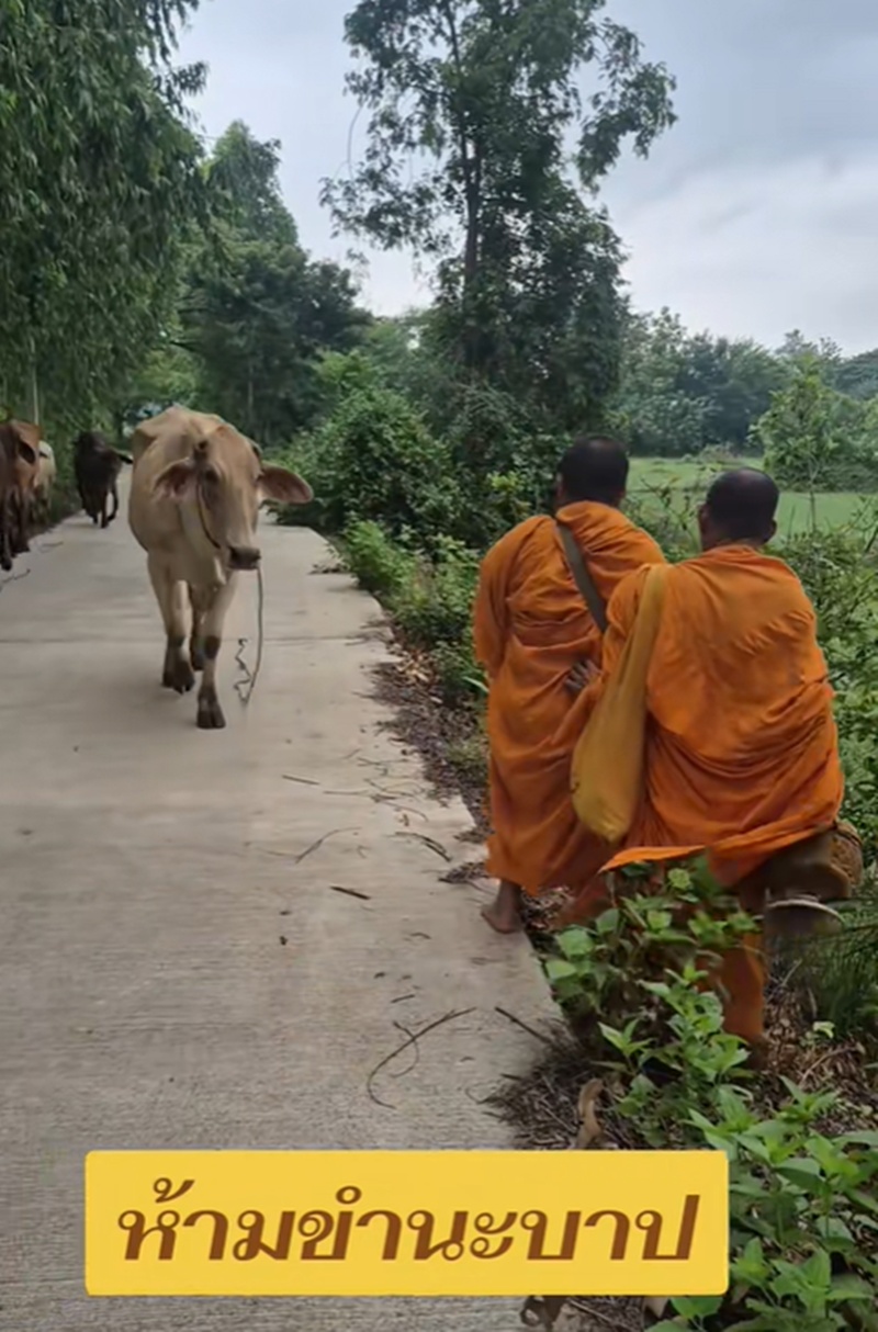 พระบิณฑบาต