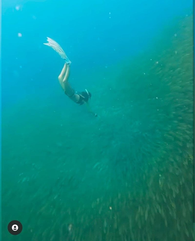 นท เดอะสตาร์