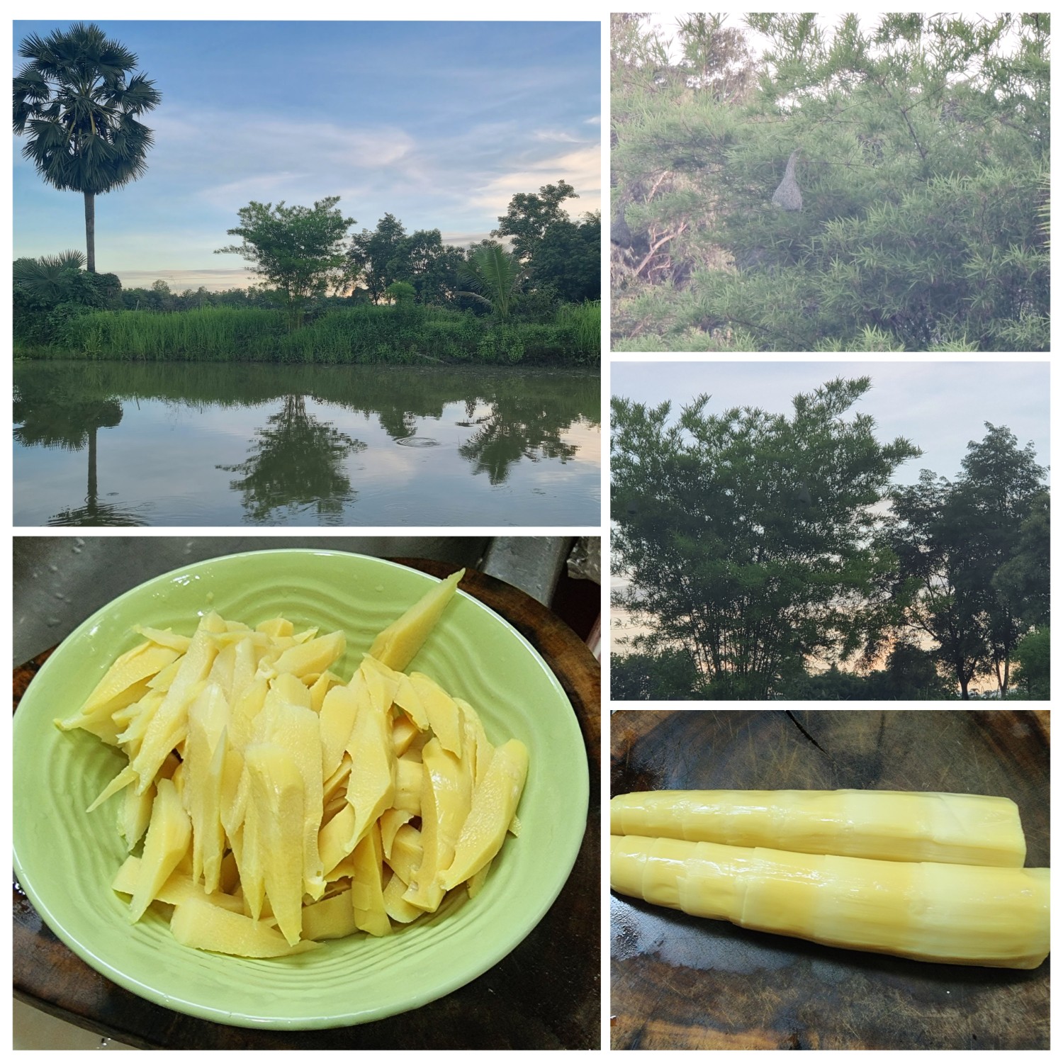 ผัดหน่อไม้ไก่