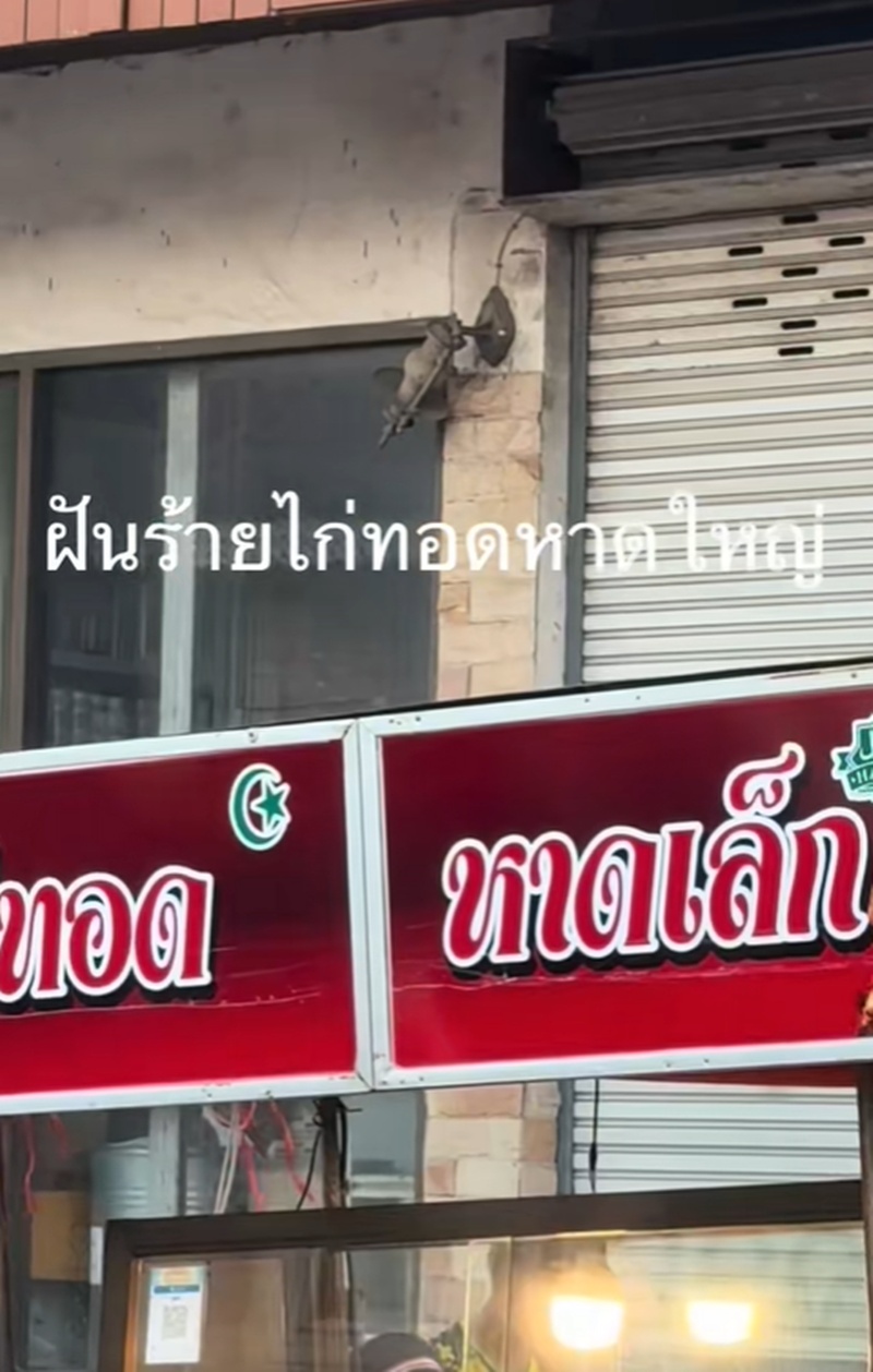 ไก่ทอดหาดใหญ่