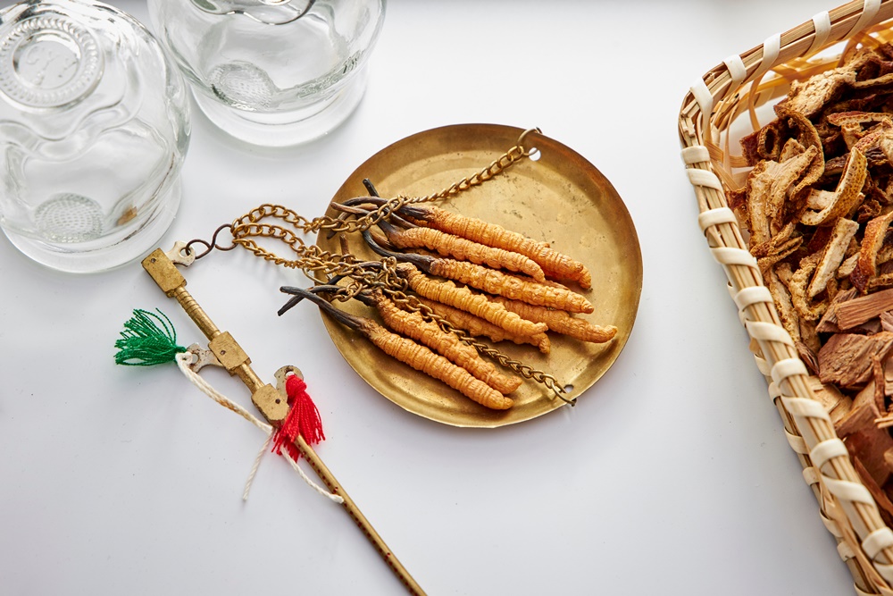 ถั่งเช่า