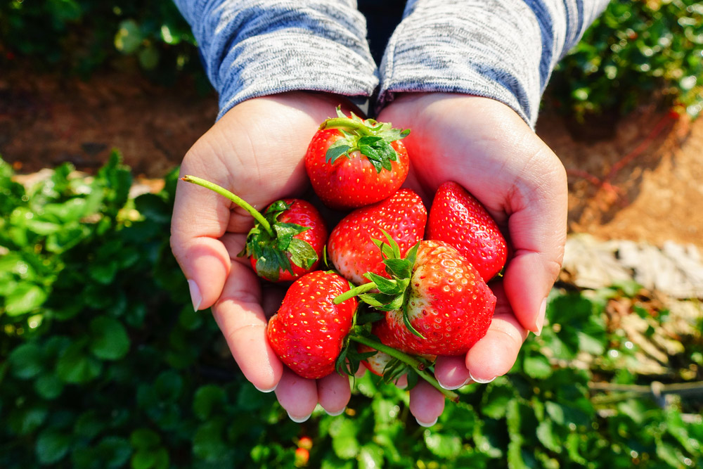 ที่เที่ยวเดือนมกราคม