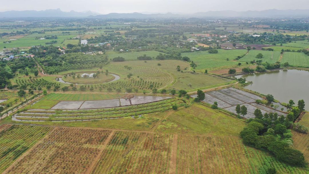 ไร่เบญจรงคกุล