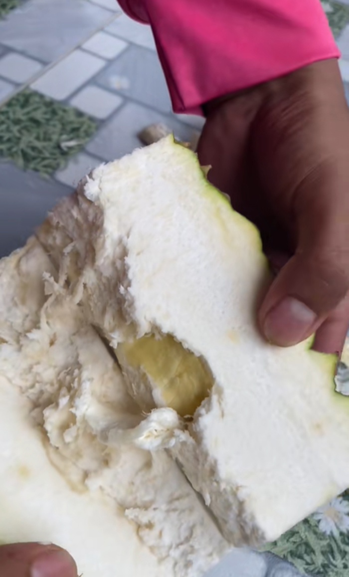 ทุเรียน