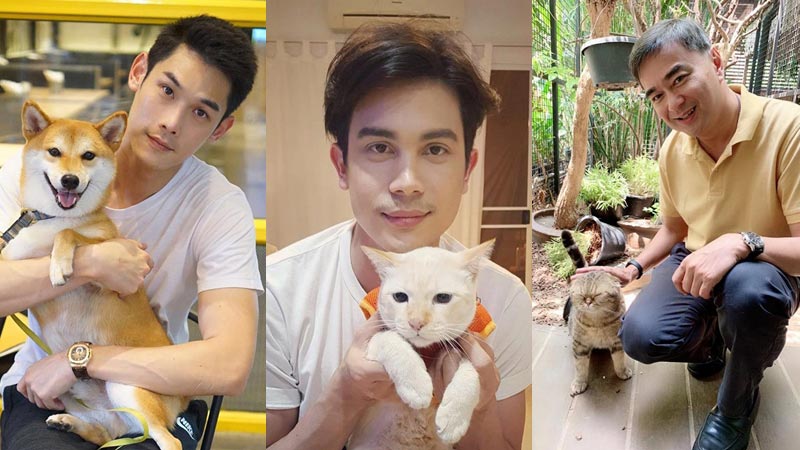 สัตว์เลี้ยงดารา