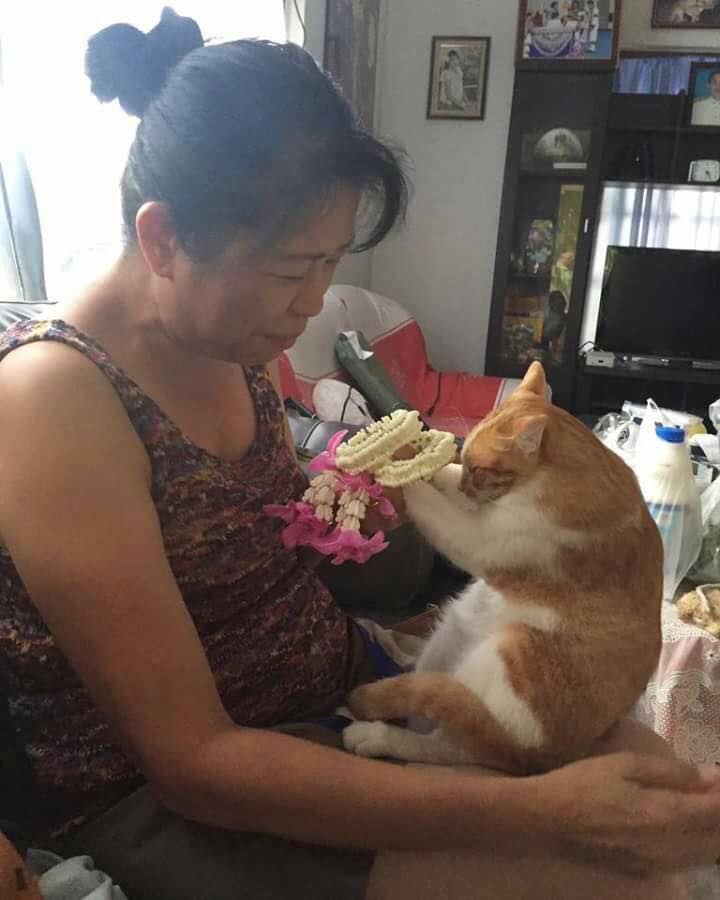 ไหว้แม่
