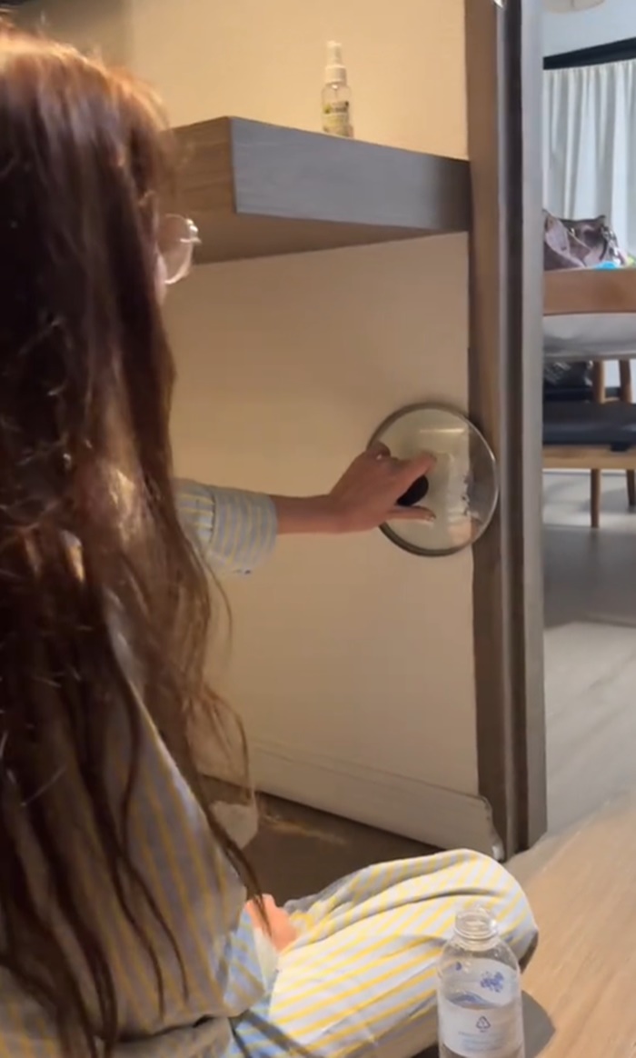 จิ้งจกเข้าบ้าน