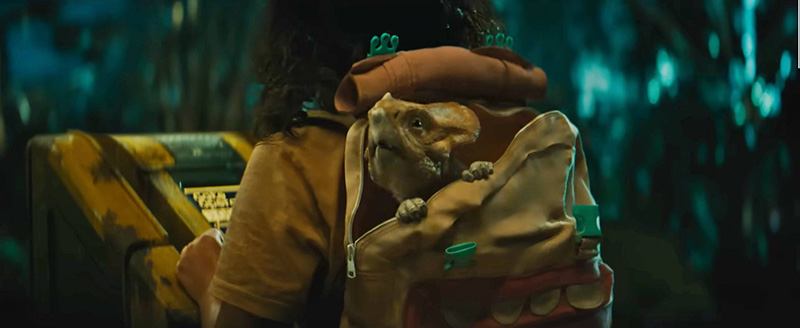 หนัง jurassic world rebirth ไดโนเสาร์ Aquilops