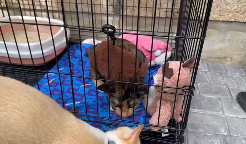  สรยุทธ สุทัศนะจินดา เล่าโมเมนต์ จอห์น เลอา เผชิญหน้า โดนแซว ไม่เลี้ยง แต่อยู่บ้านแล้ว