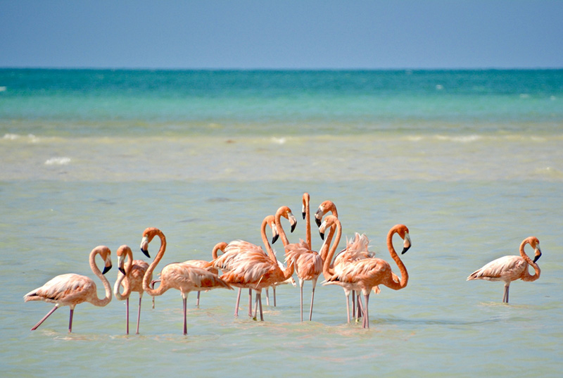 เที่ยวต่างประเทศ