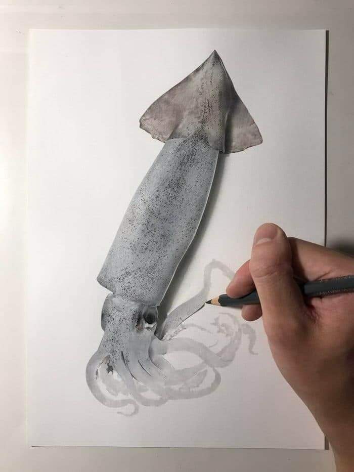 ปลาหมึก