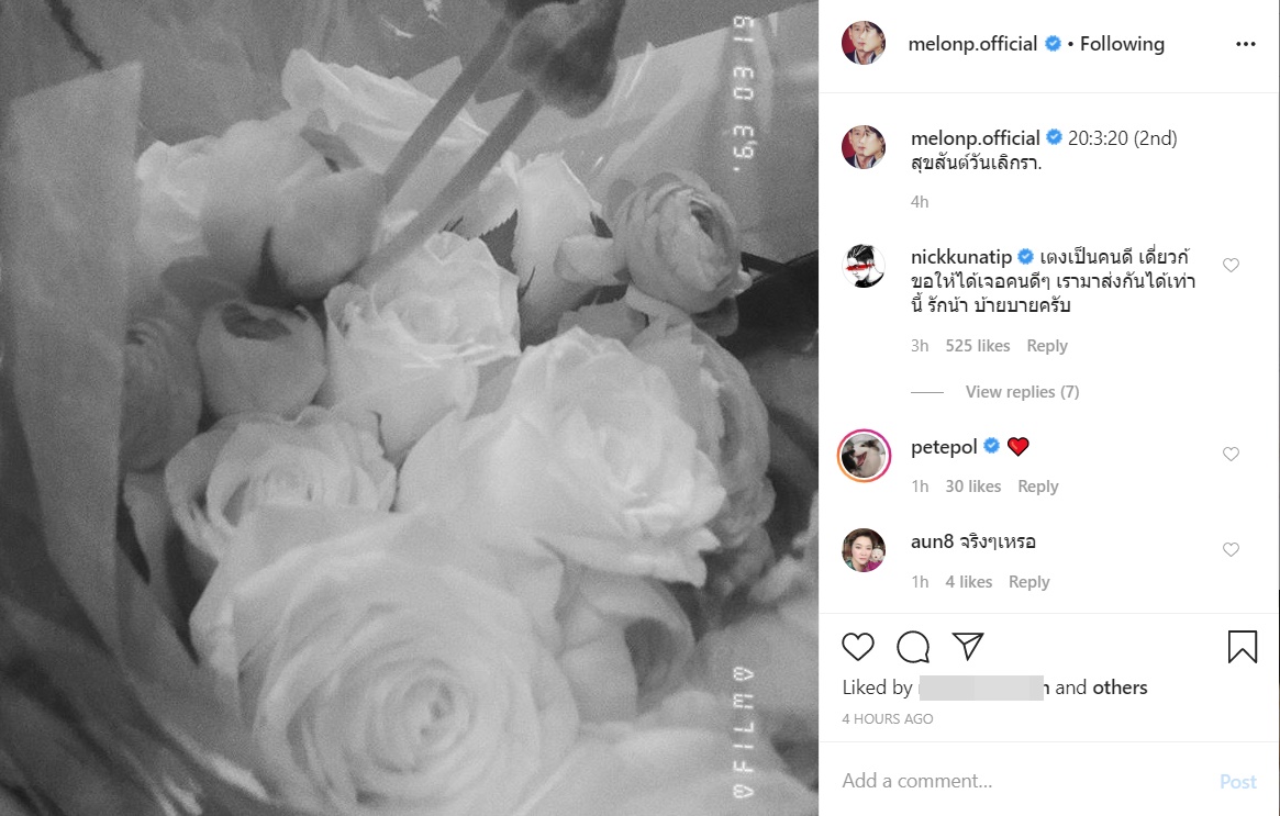 แตงโม นิก