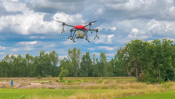 โดรนทำนา