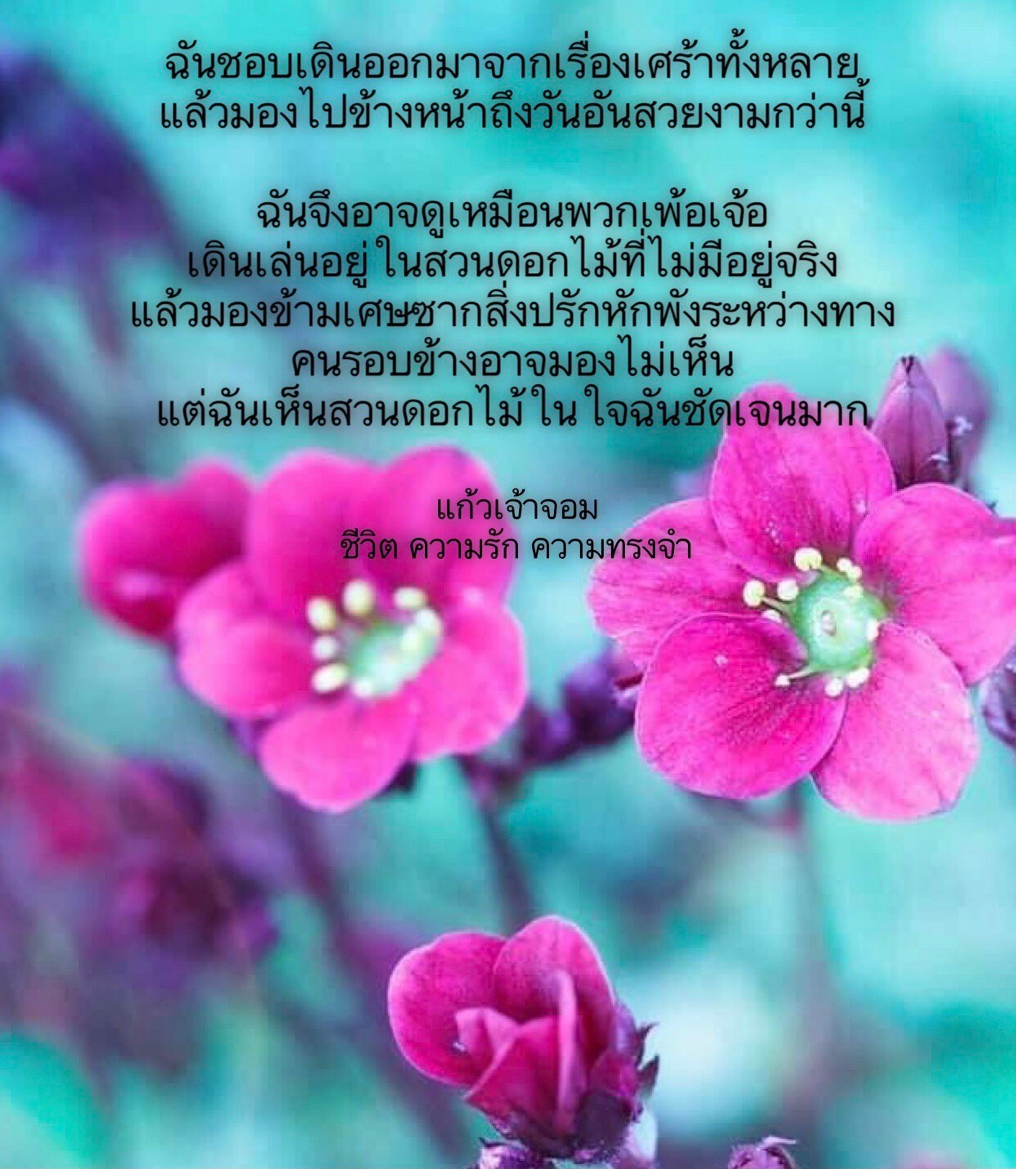 ไพ่ทาโรต์