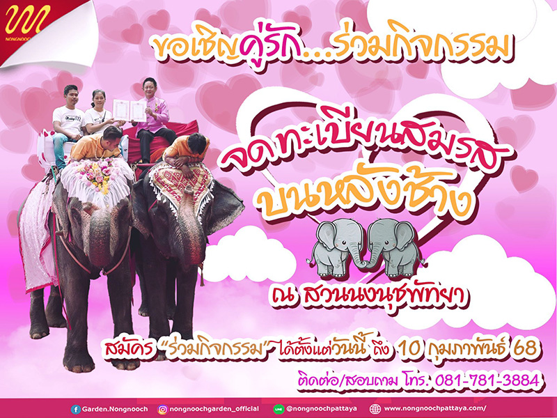 งานวันวาเลนไทน์ สวนนงนุช พัทยา