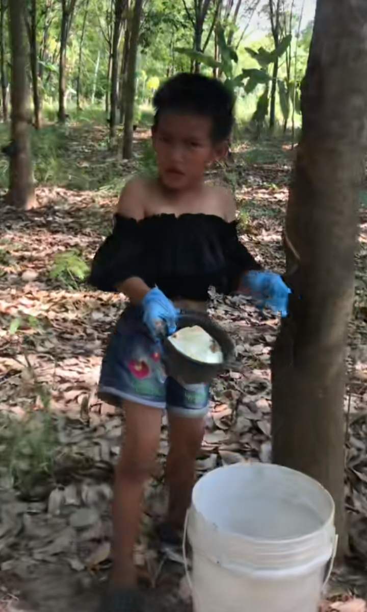 ดูรถแห่