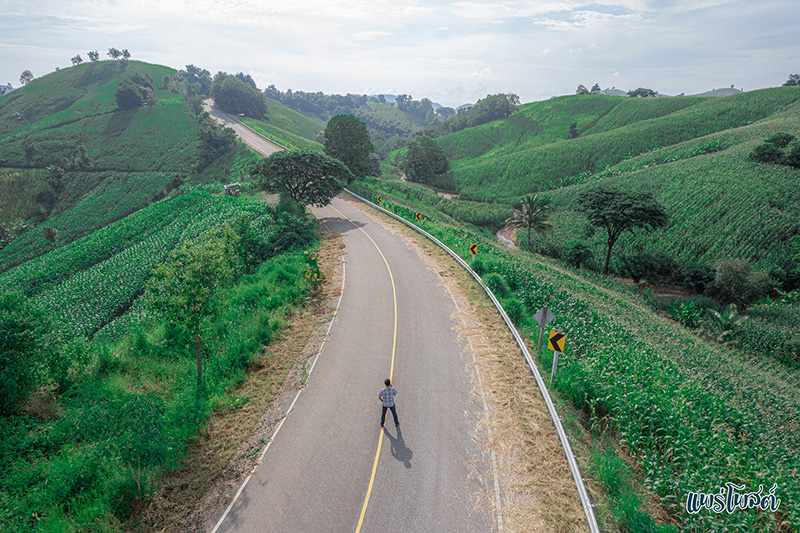 วิวที่มองเห็นทั้งทุ่งข้าวโพดและเนินเขา ถนนลอยฟ้าแพร่ หมายเลข 1343