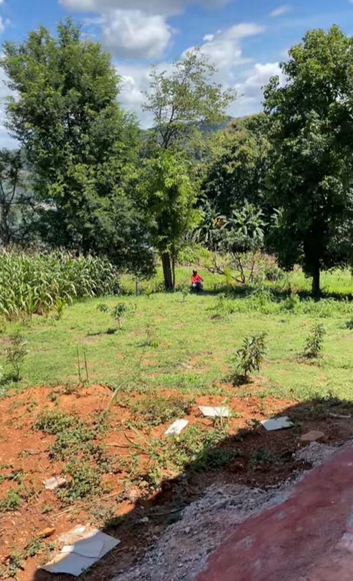 ไปรษณีย์