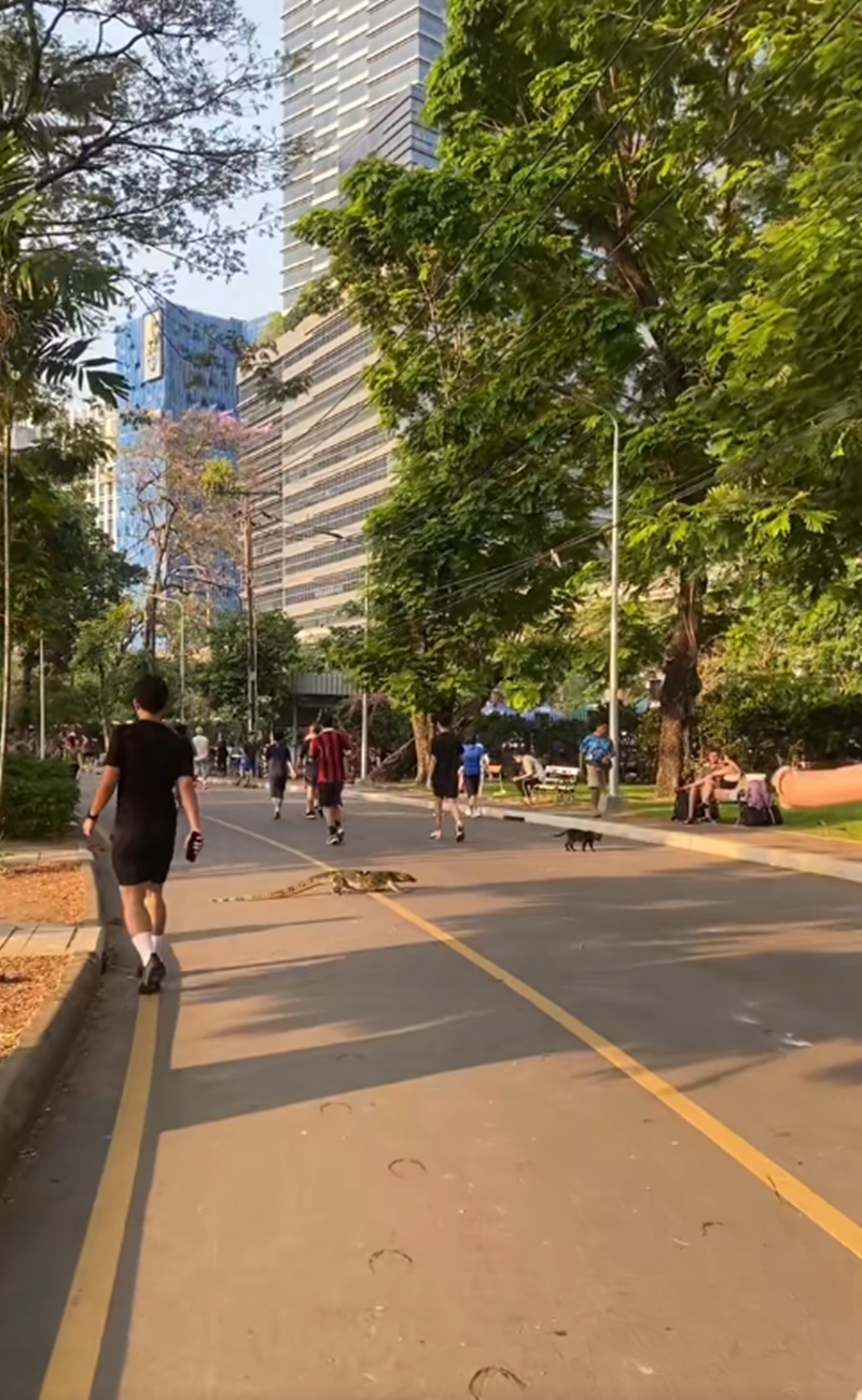 สวนลุมพินี