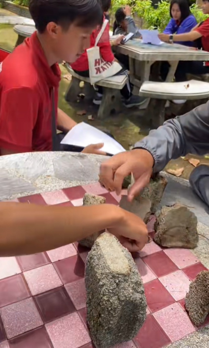 เล่นหมากฮอส