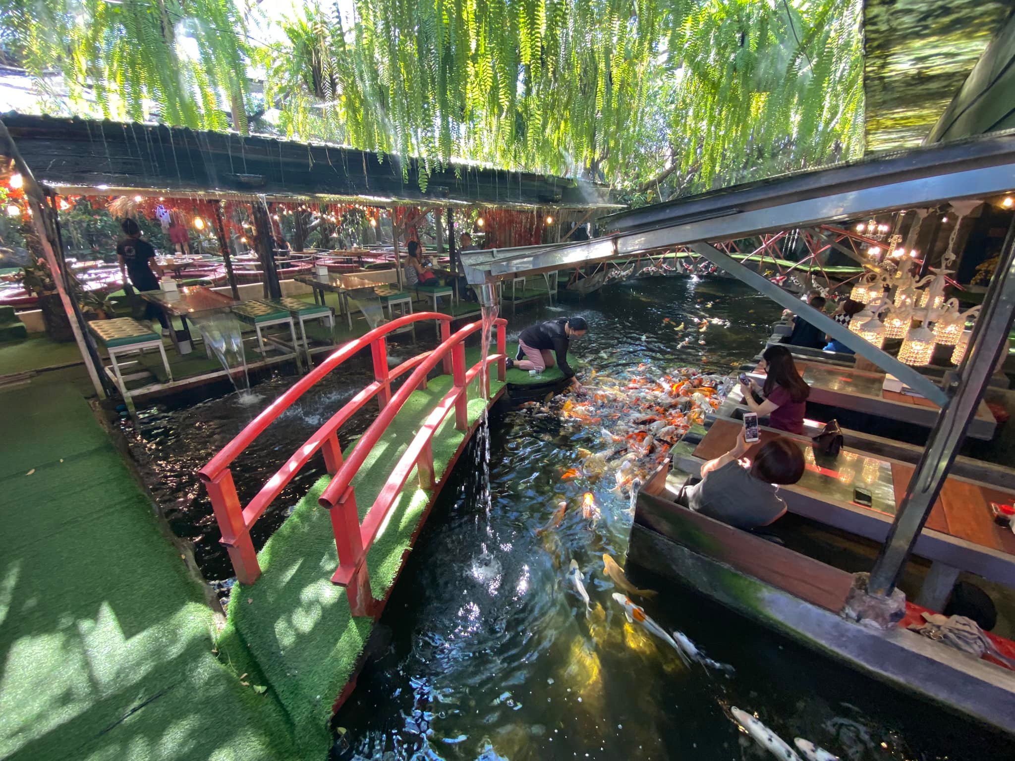 คาร์ฟคาเฟ่
